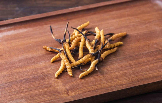 Title: Unleashing Performance: Exploring the Positive Effects of Cordyceps for Professional Footballers